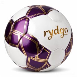 Rydgo Reaction Speed Ladder